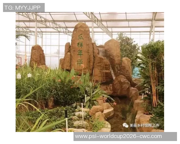 槐房足球小镇：探索足球文化与乡村振兴的完美结合之旅