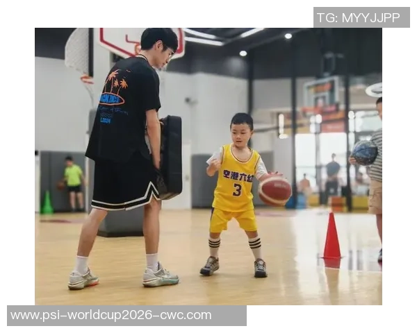 篮球查助你掌握篮球技巧与战术提升你的球场表现与团队协作能力